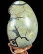 Septarian Dragon Egg Geode - Crystal Filled #73781-3